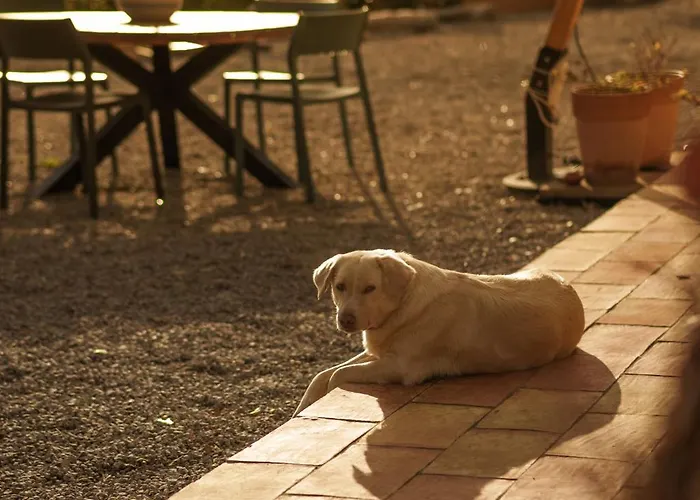 Andrea - Romantic Private Retreat Cefalù